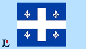 Marché du livre au Québec : une année 2024 en forte progression
